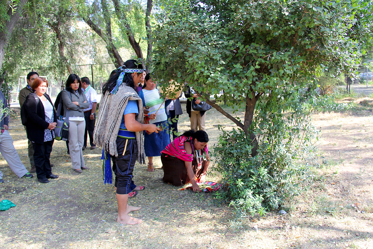 foto de galería 2015-Pago-tierra-Educacion-intercultural